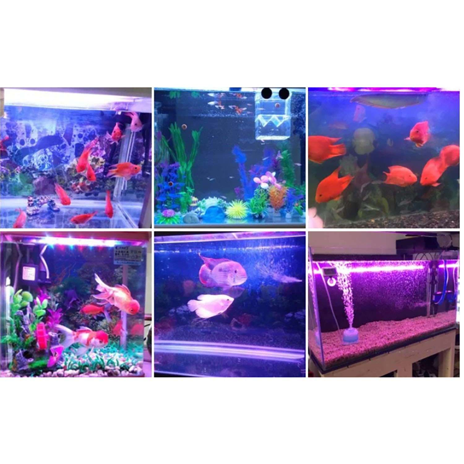Marine Aquarium Uv Light - Iluminação LED para aquário marinho multichip