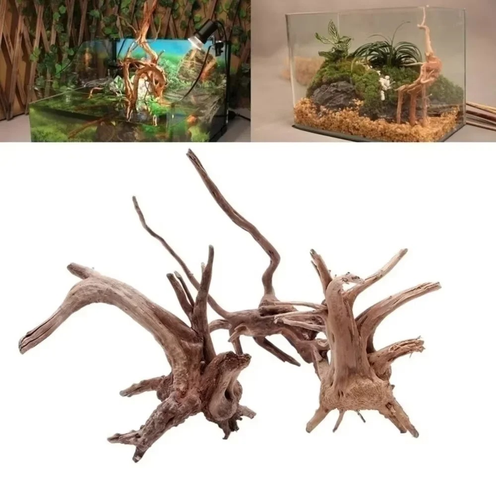 Marine Aquarium Tanks - (15-20cm) Decoração de Aquário em Madeira