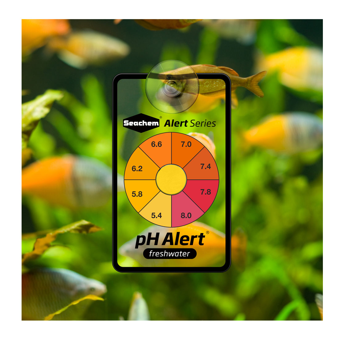 Alerta De PH De Teste De Água  - Marine Aquarium Test Kit avaliação e preço