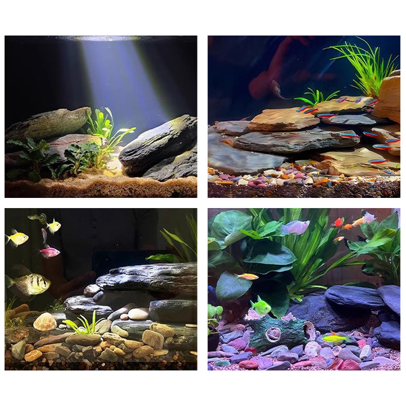 Kit de Pedras para Paisagismo  - Marine Aquarium Tanks avaliação e preço