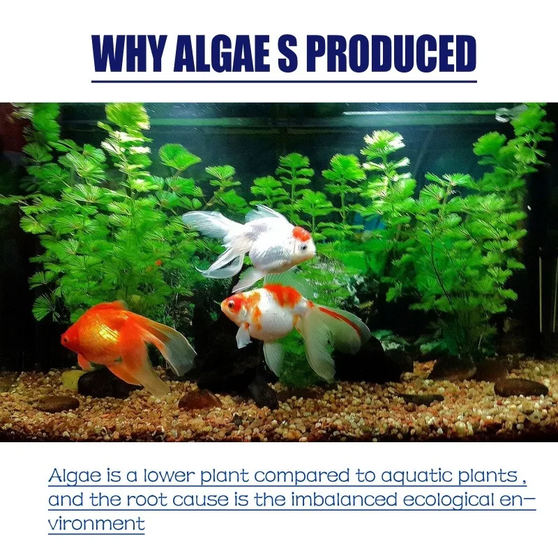 Algaicida de Alta Eficiência 5 - Aquarium Marine Plants avaliação e preço