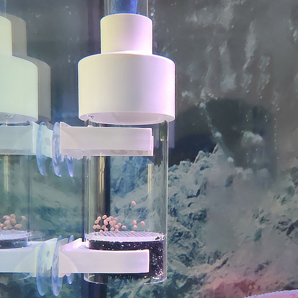 Incubadora de copo de 40mm, in - Marine Aquarium With Sump avaliação e preço