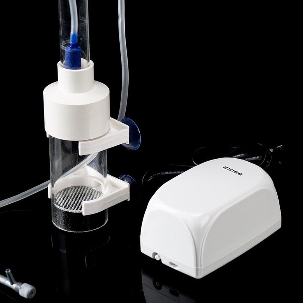 Incubadora de copo de 40mm, in - Marine Aquarium With Sump avaliação e preço