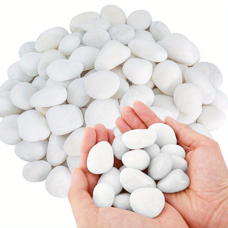 200/400g branco alto polido se - Aquarium Marine Plants avaliação e preço