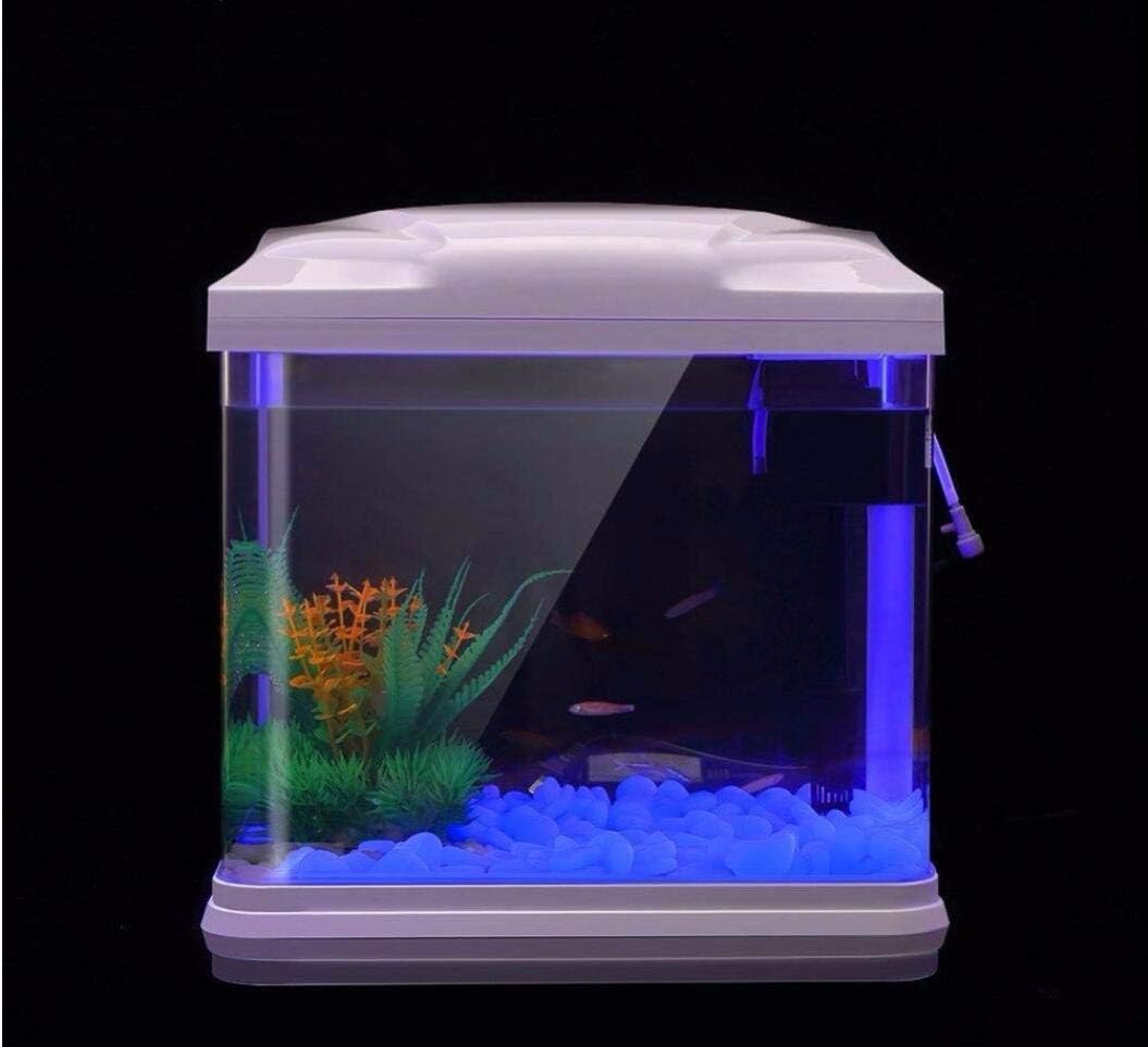 Rochas do tanque de peixes bri - Aquarium Marine Plants avaliação e preço