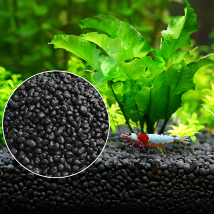 Solo para plantas do tanque de - Aquarium Marine Plants avaliação e preço