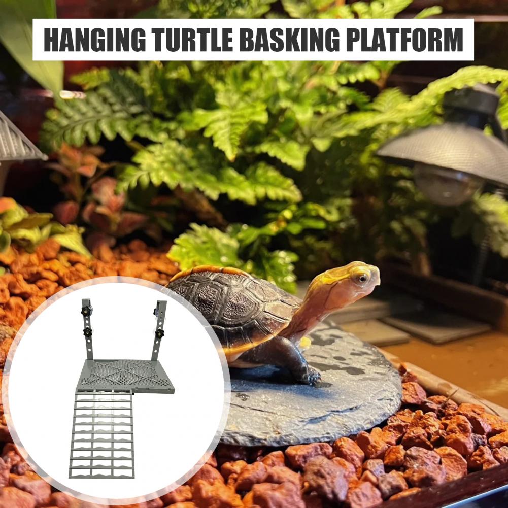 Decoração para Aquário, Plataf - Marine Aquarium Tanks avaliação e preço