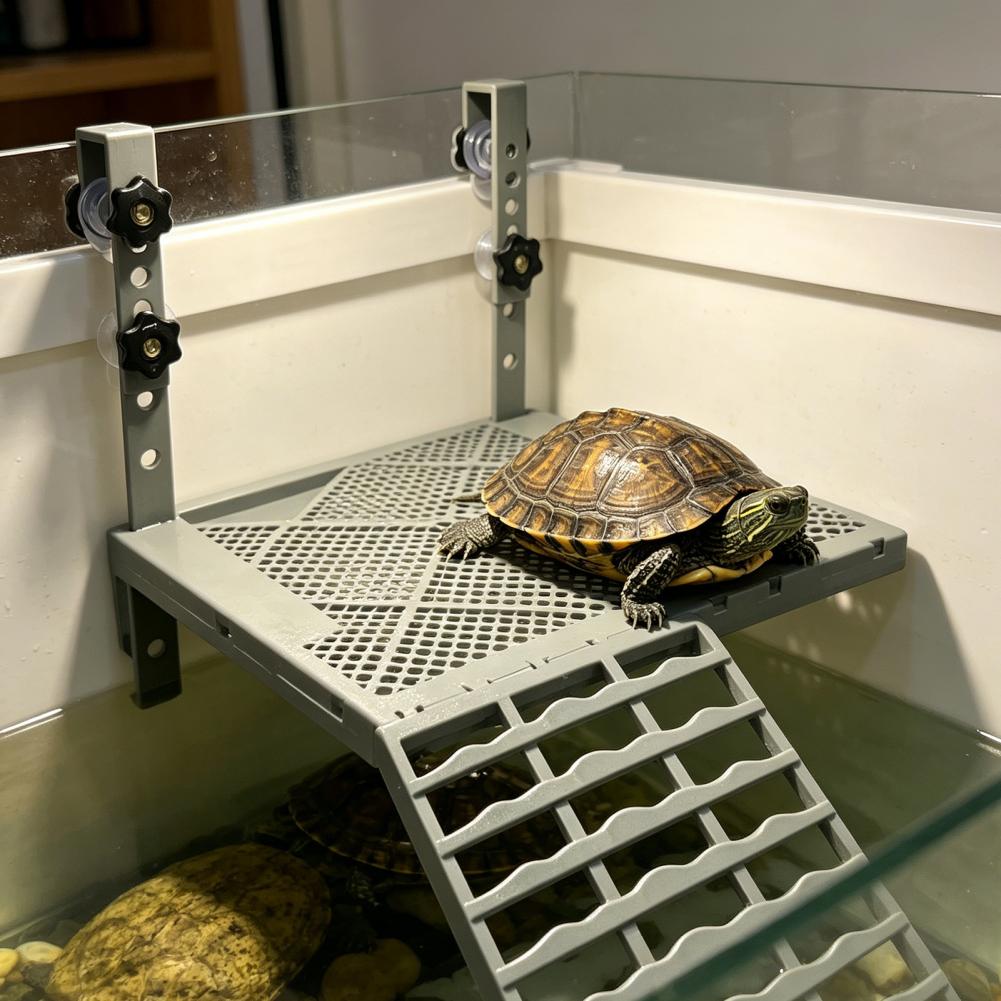 Decoração para Aquário, Plataf - Marine Aquarium Tanks avaliação e preço