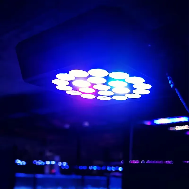 Controlador Inteligente Novate - Marine Aquarium Tanks avaliação e preço