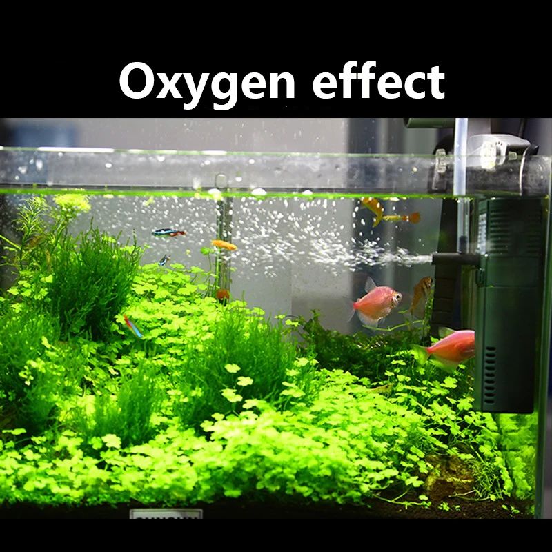 Sunsun-Mini Nano bomba interna - Marine Aquarium Uv Light avaliação e preço